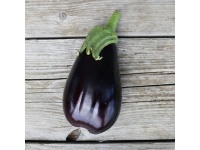 aubergine1